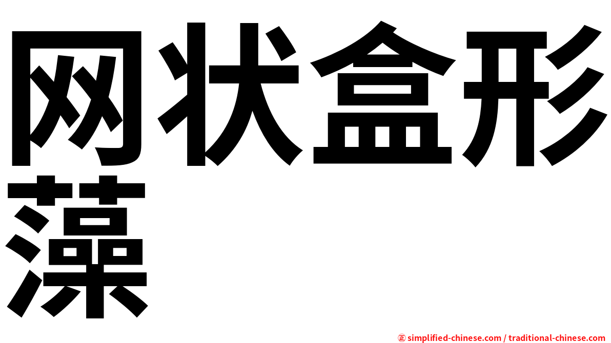 网状盒形藻