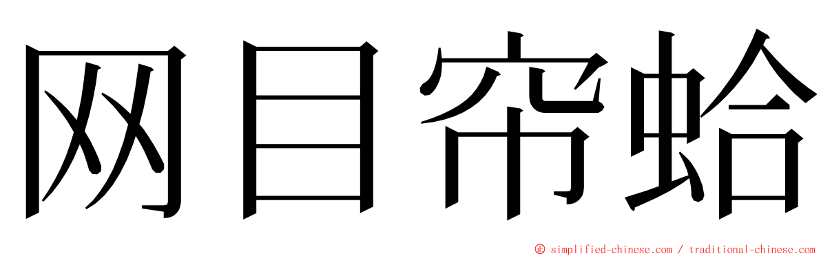 网目帘蛤 ming font