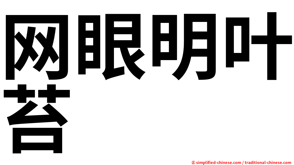 网眼明叶苔