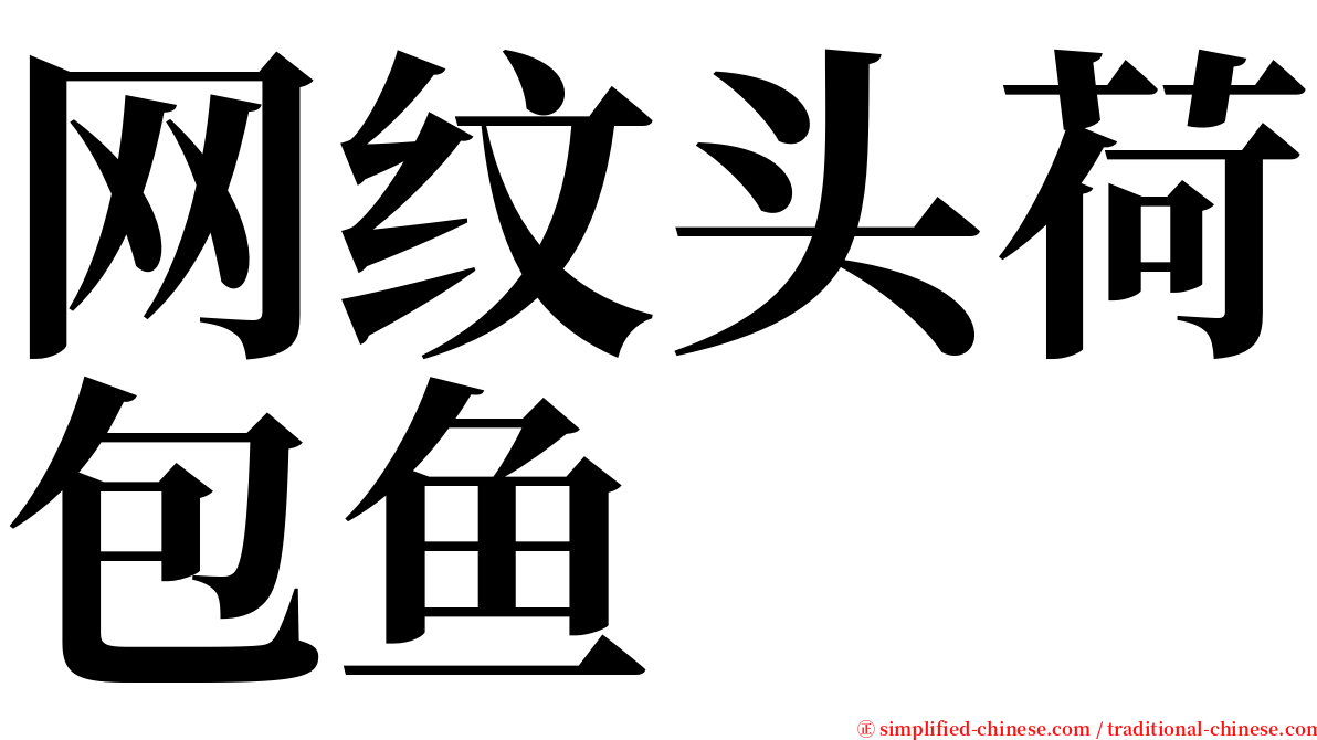 网纹头荷包鱼 serif font