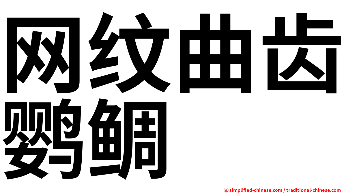 网纹曲齿鹦鲷
