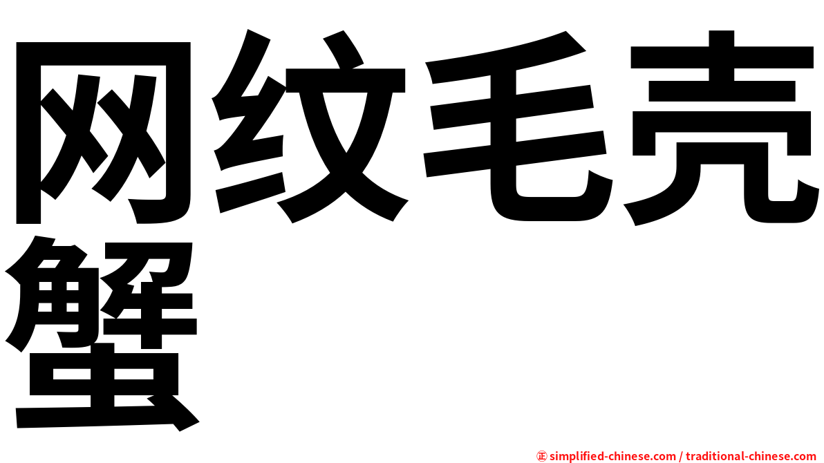 网纹毛壳蟹