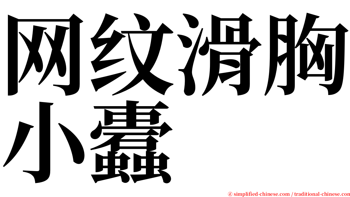 网纹滑胸小蠹 serif font