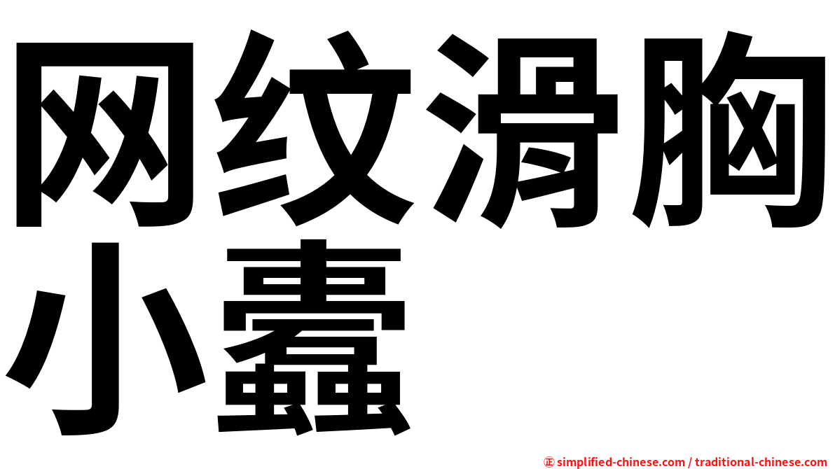 网纹滑胸小蠹