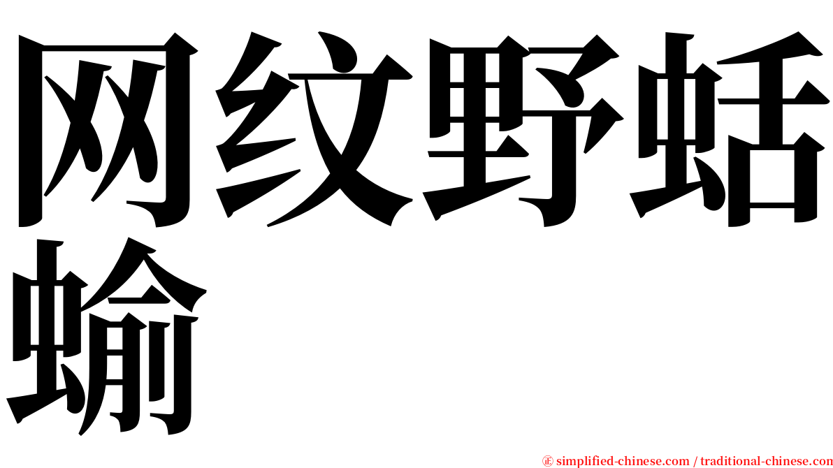 网纹野蛞蝓 serif font
