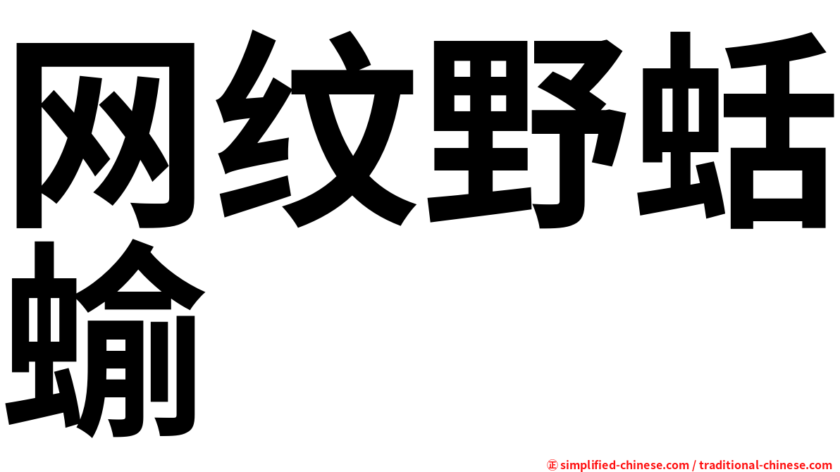 网纹野蛞蝓