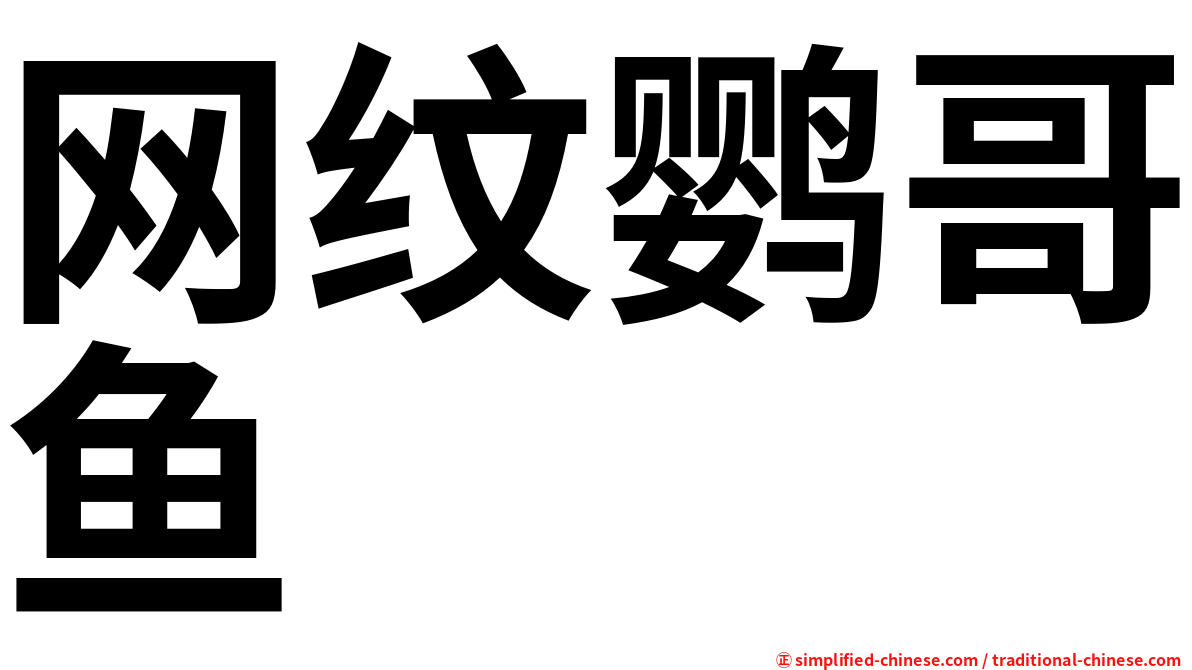 网纹鹦哥鱼