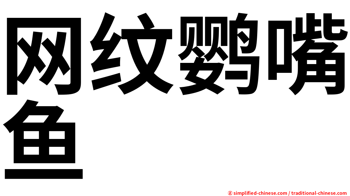 网纹鹦嘴鱼