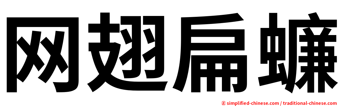 网翅扁蠊