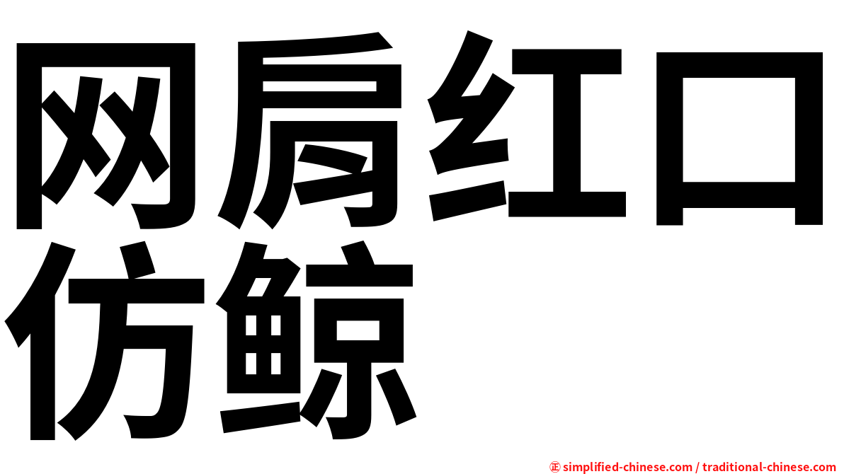 网肩红口仿鲸