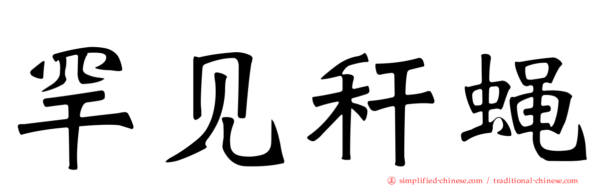 罕见秆蝇