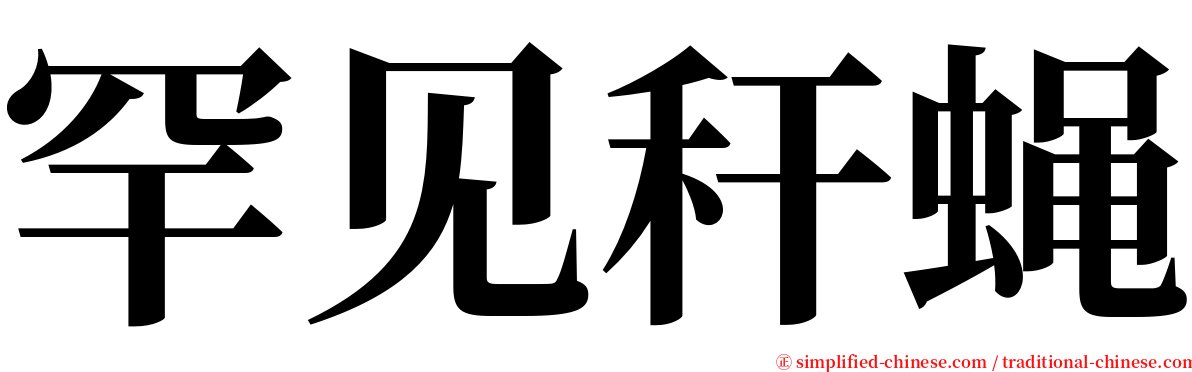 罕见秆蝇 serif font