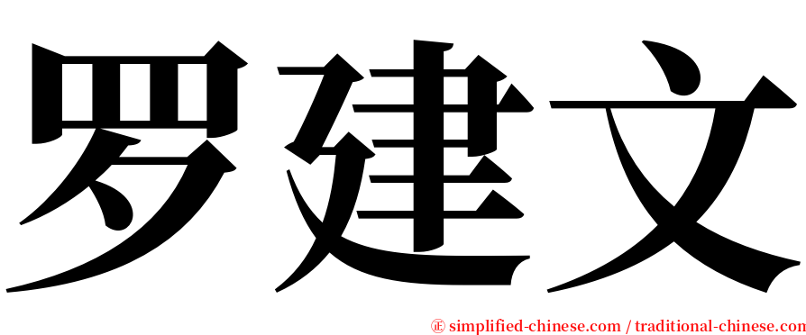 罗建文 serif font