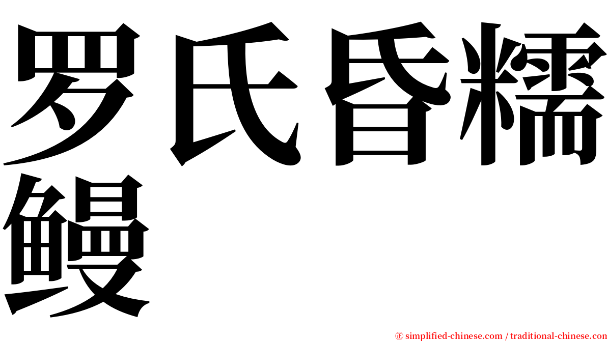 罗氏昏糯鳗 serif font