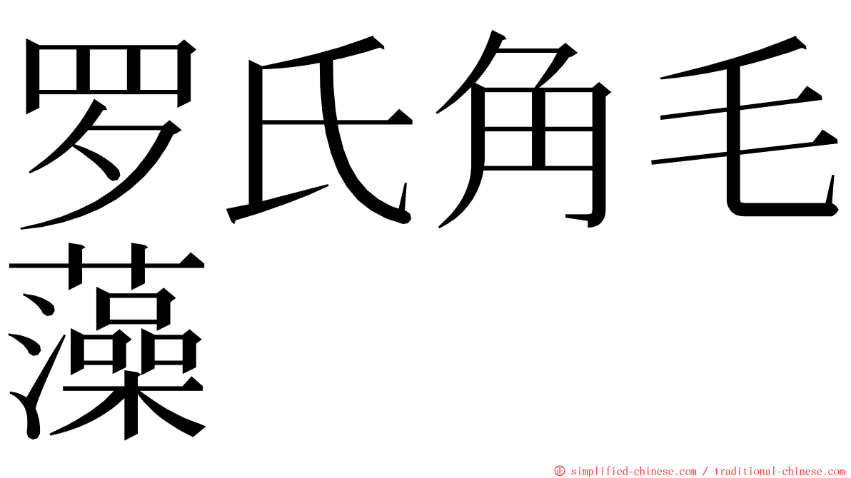 罗氏角毛藻 ming font