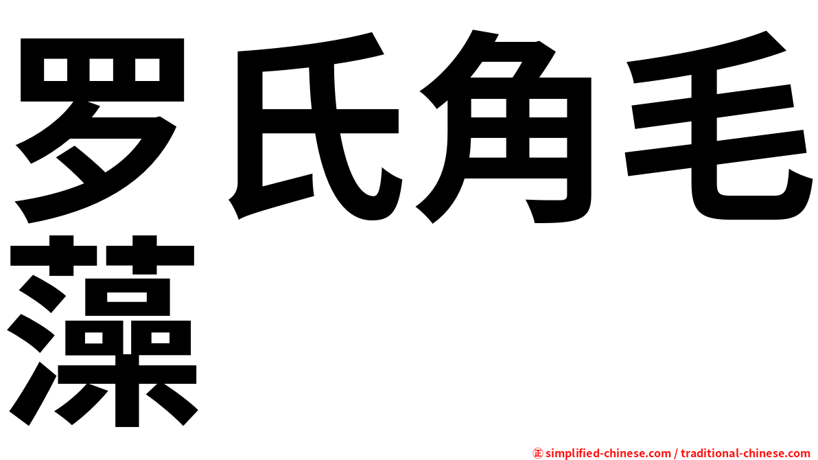 罗氏角毛藻