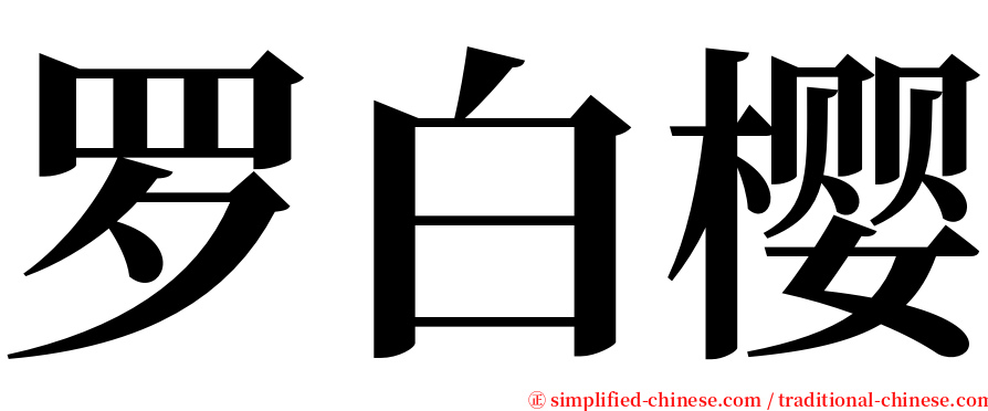 罗白樱 serif font