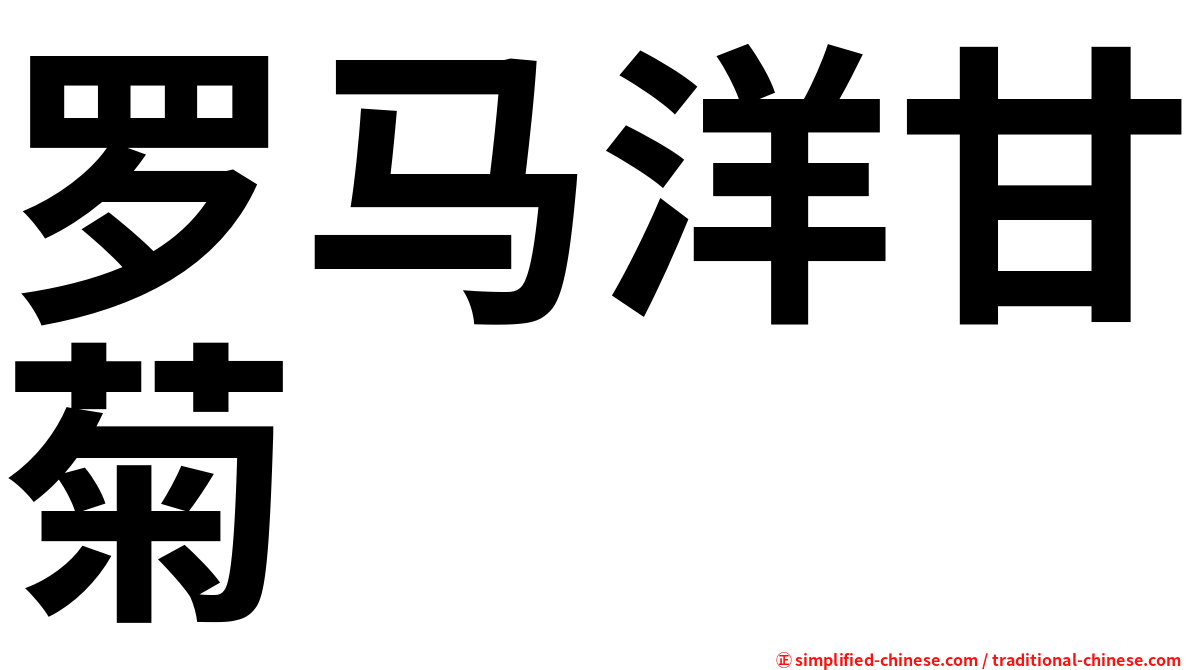 罗马洋甘菊