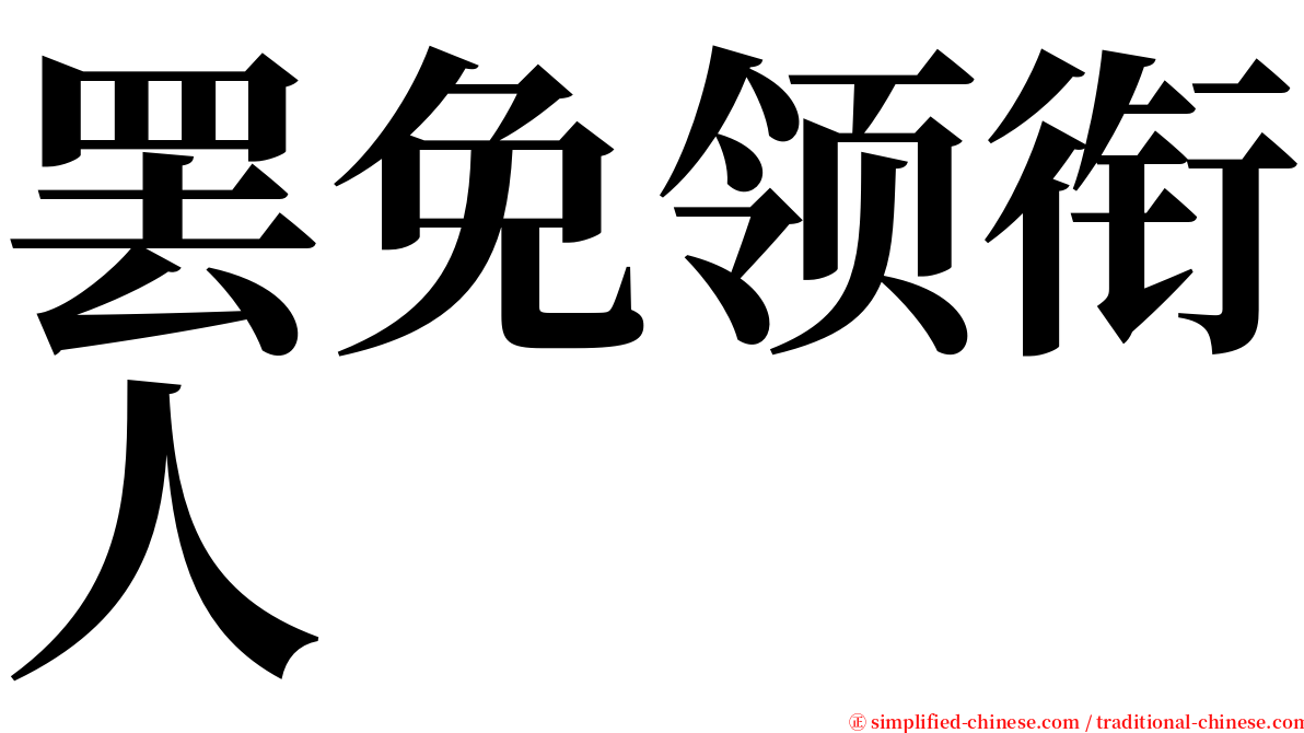 罢免领衔人 serif font