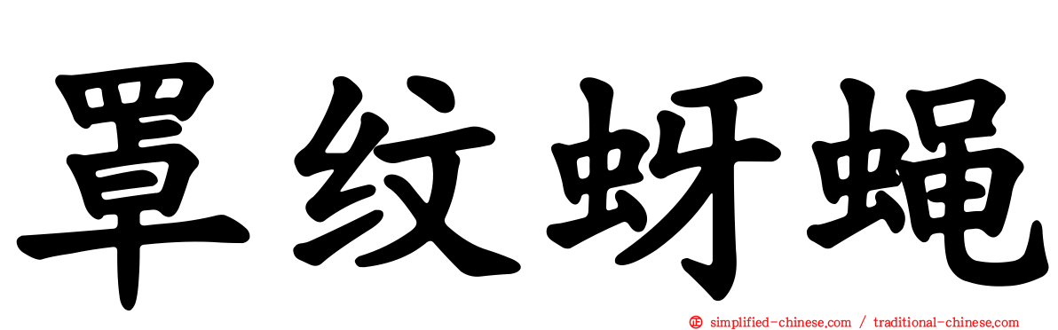 罩纹蚜蝇