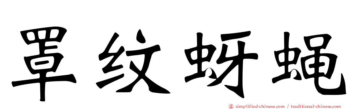 罩纹蚜蝇
