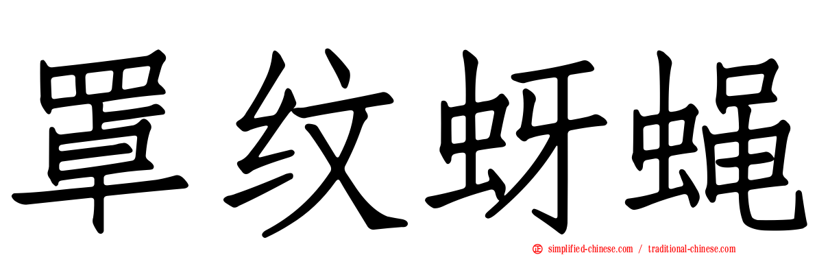 罩纹蚜蝇