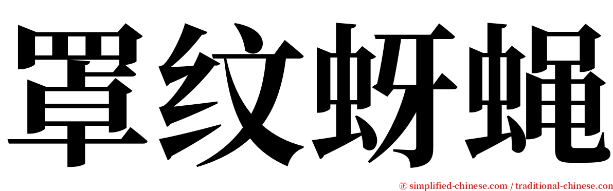 罩纹蚜蝇 serif font