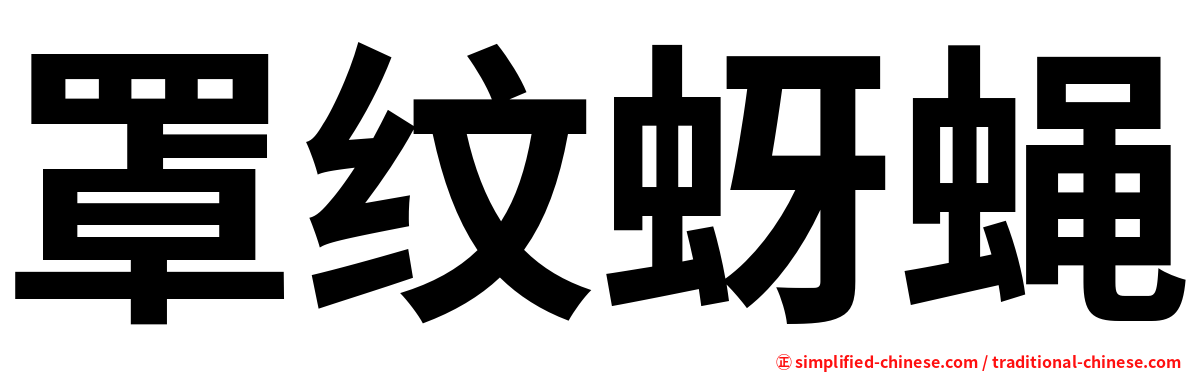 罩纹蚜蝇