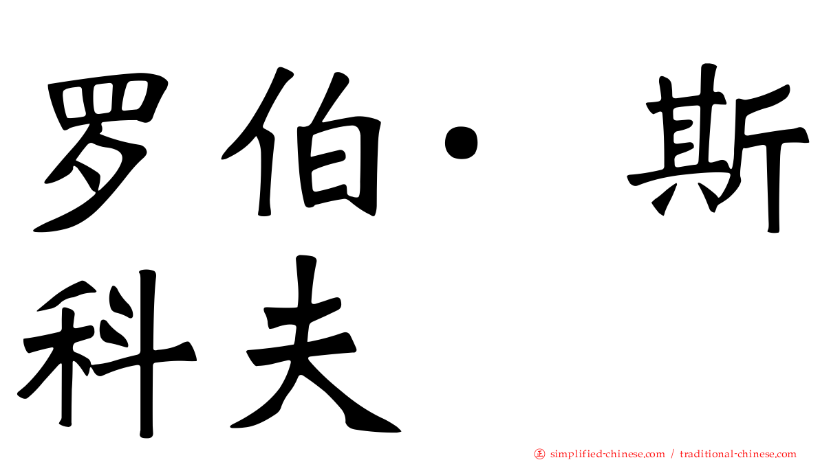 罗伯·斯科夫