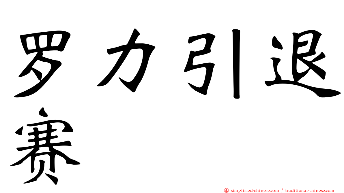 罗力引退赛