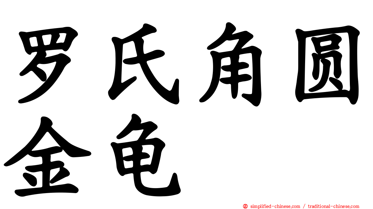 罗氏角圆金龟