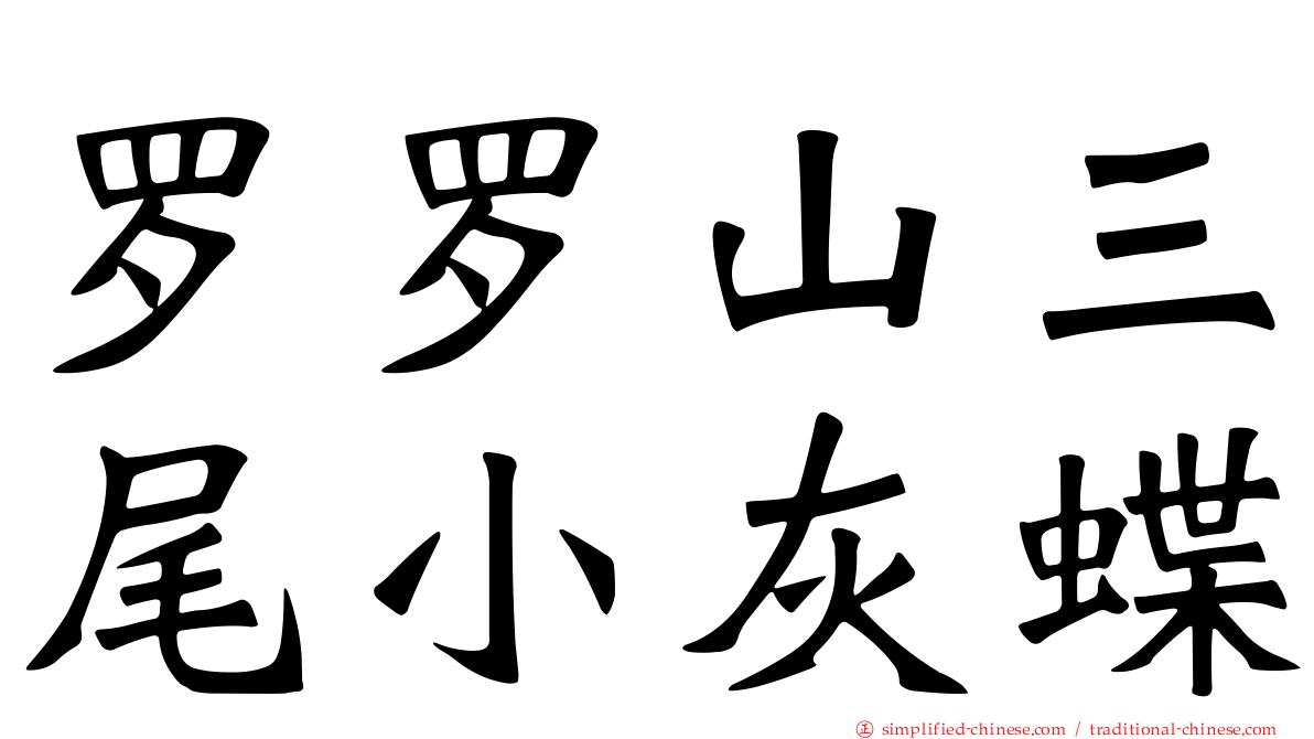 罗罗山三尾小灰蝶
