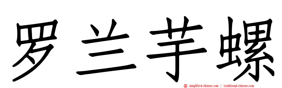 罗兰芋螺
