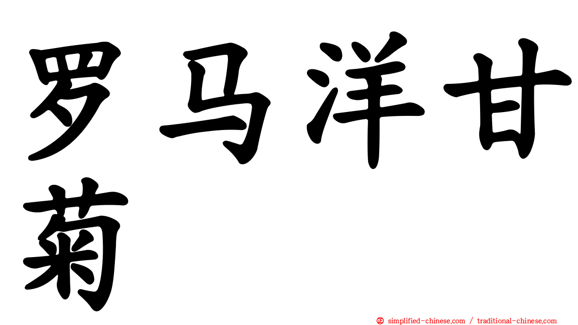罗马洋甘菊