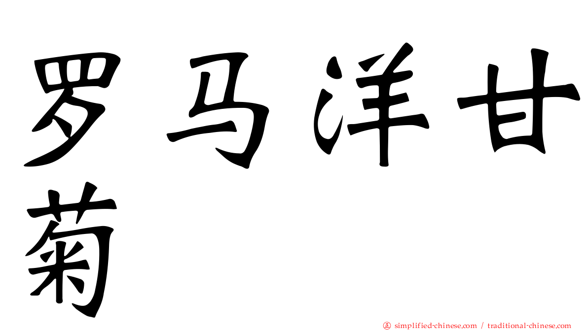 罗马洋甘菊