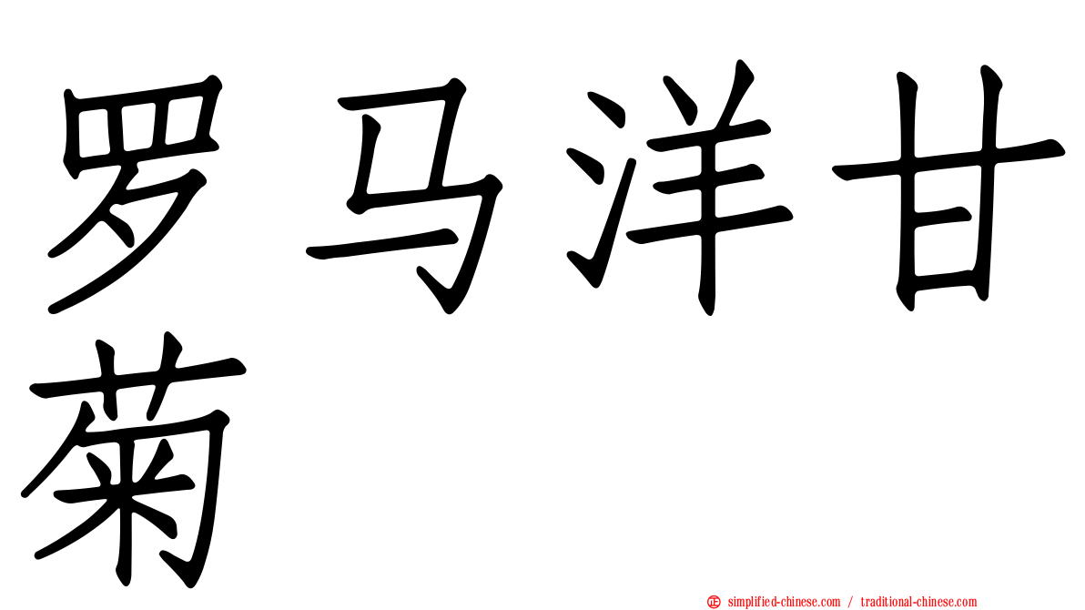 罗马洋甘菊