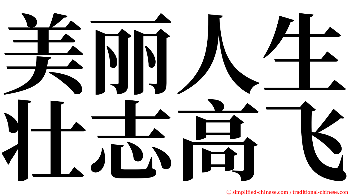 美丽人生壮志高飞 serif font