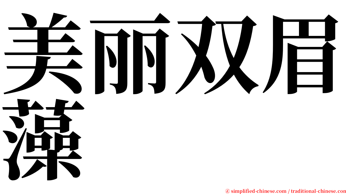 美丽双眉藻 serif font