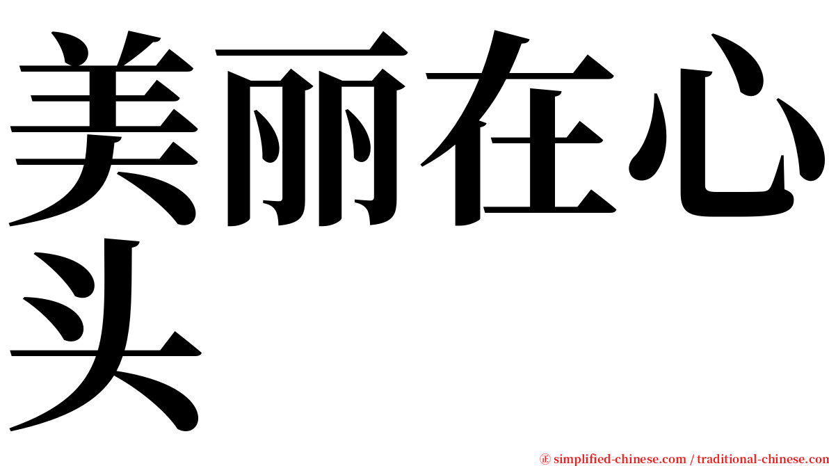 美丽在心头 serif font