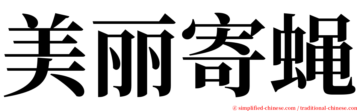 美丽寄蝇 serif font