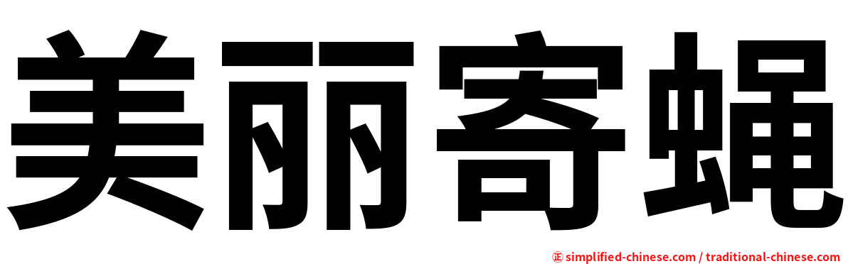 美丽寄蝇