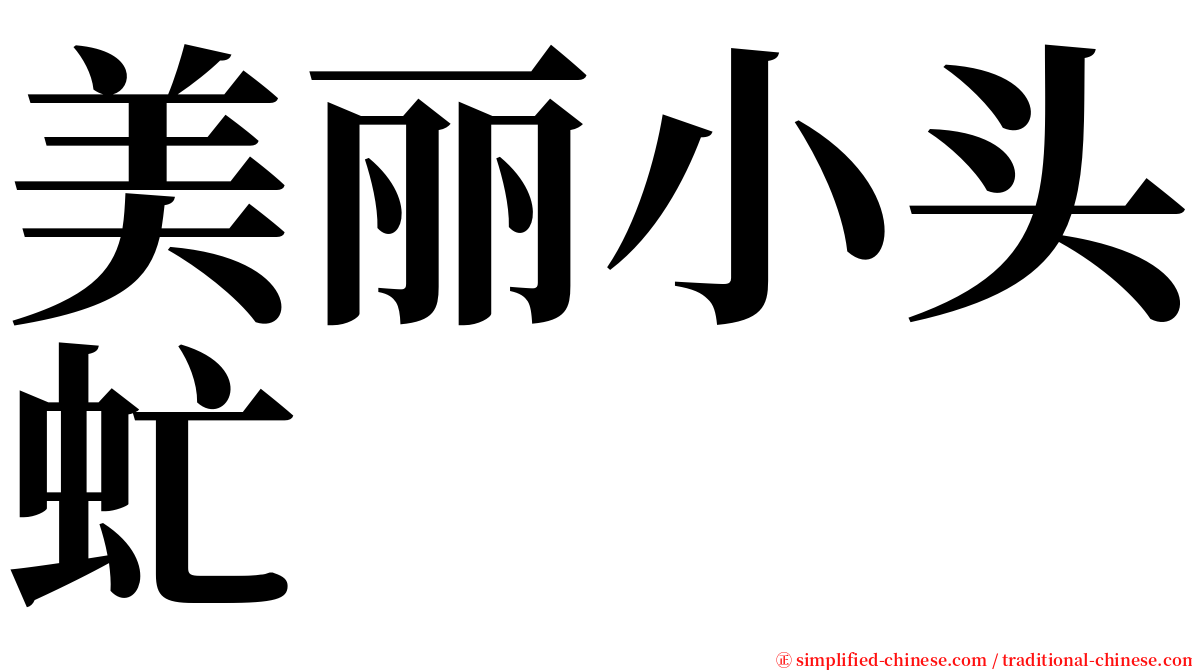 美丽小头虻 serif font