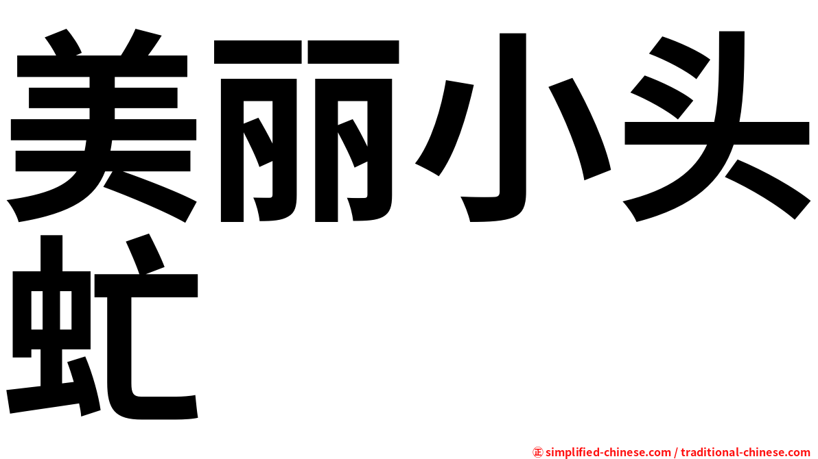 美丽小头虻
