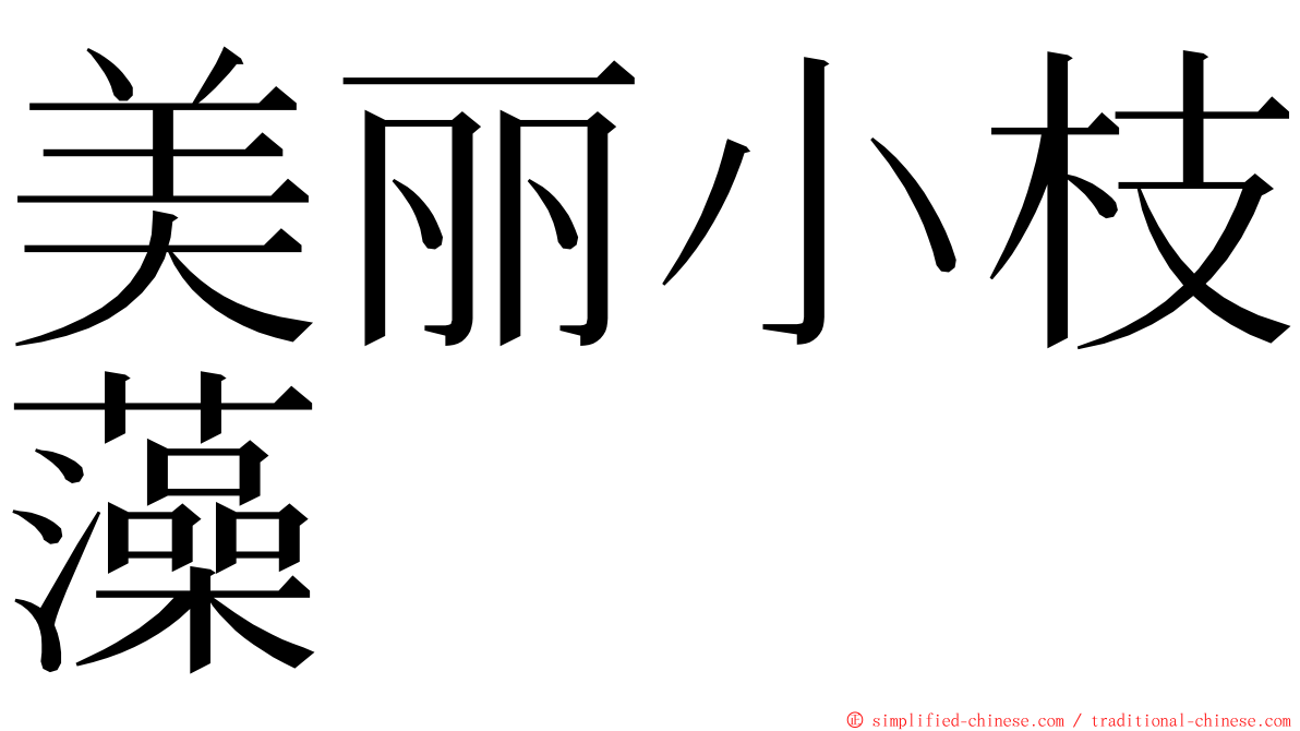 美丽小枝藻 ming font