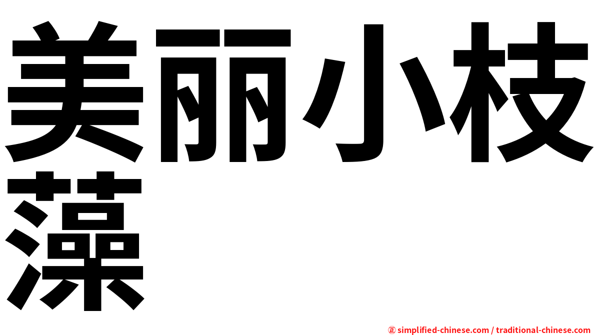 美丽小枝藻