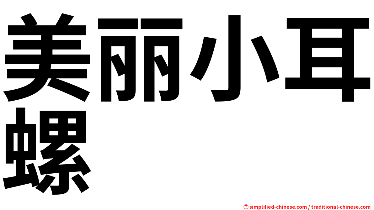 美丽小耳螺