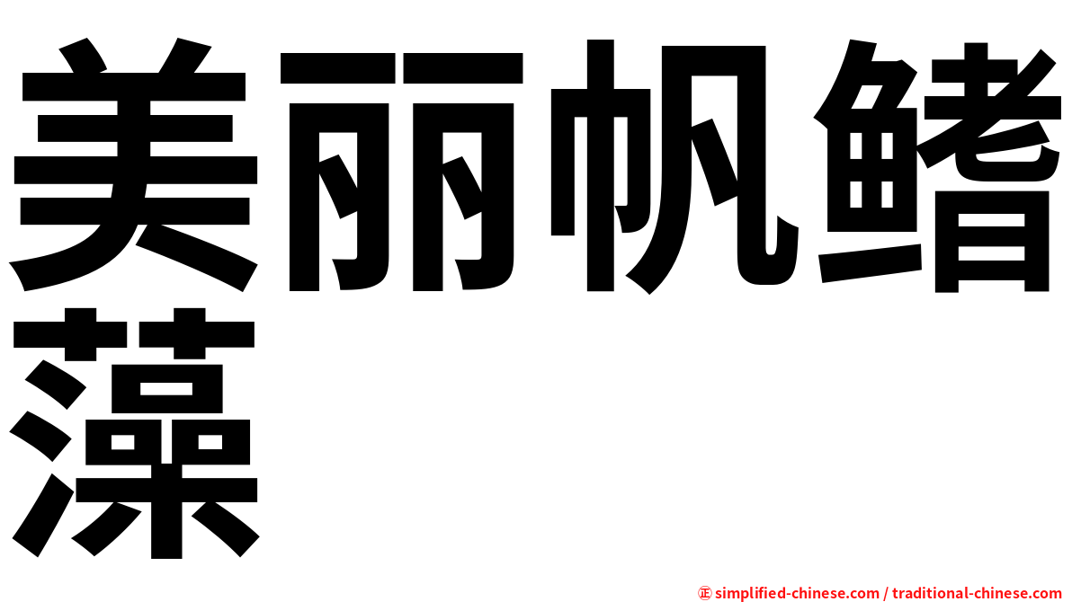 美丽帆鳍藻