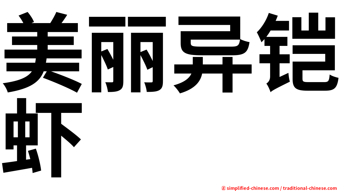 美丽异铠虾
