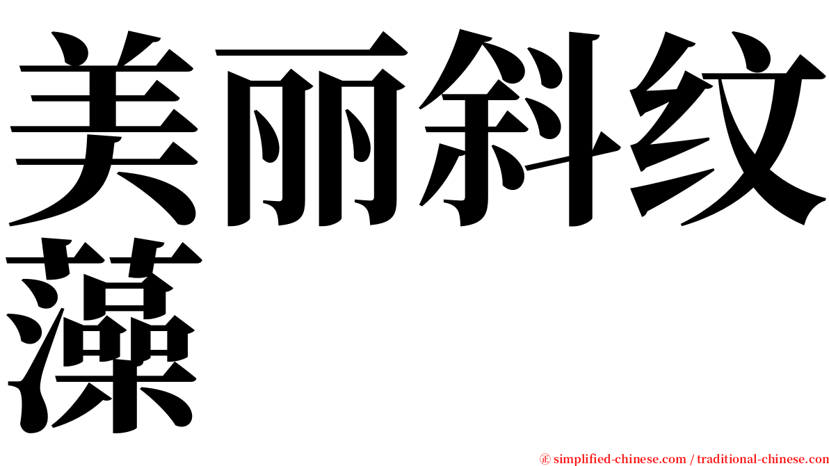 美丽斜纹藻 serif font