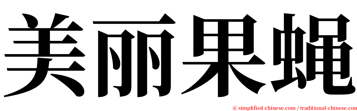 美丽果蝇 serif font